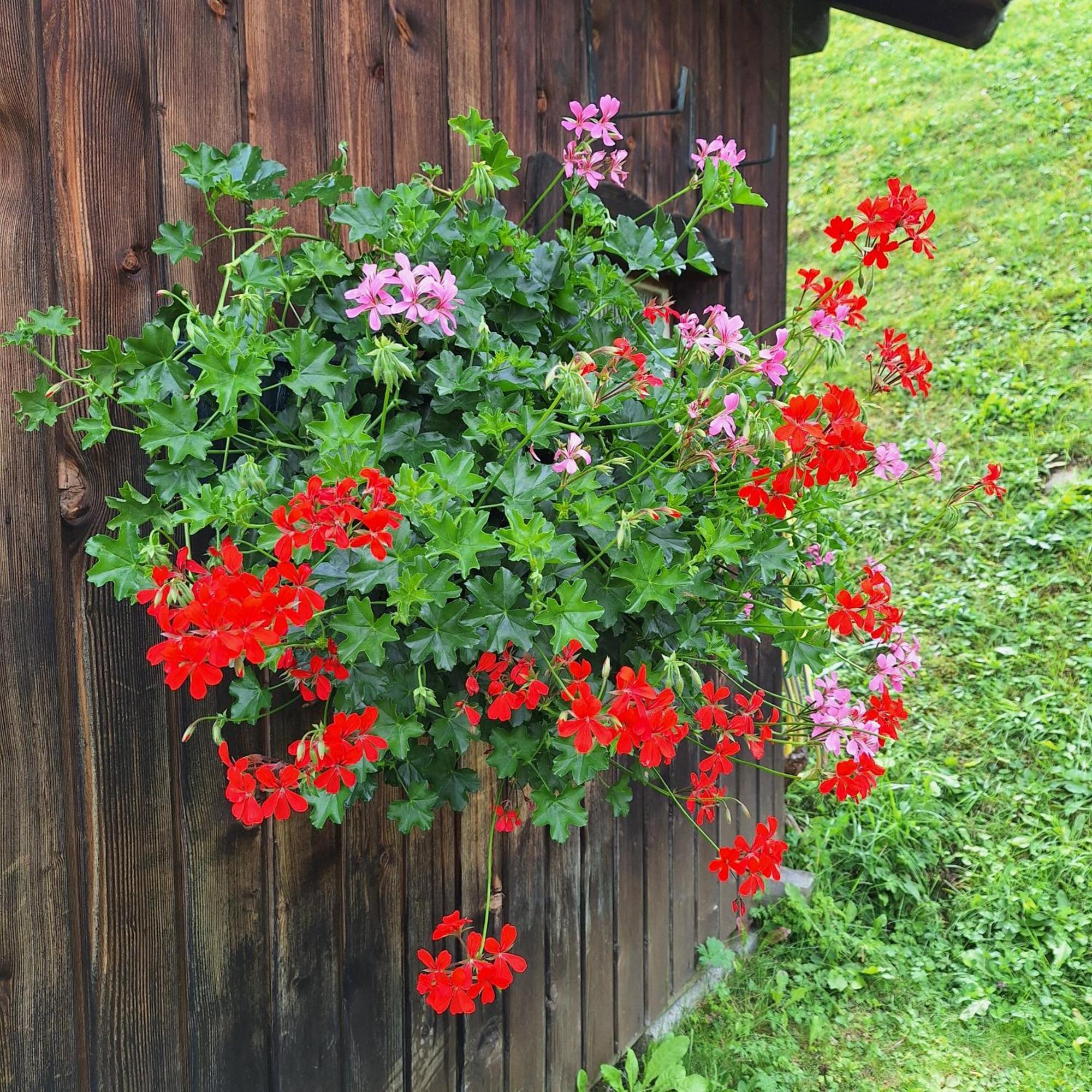 Apartment Romana Selva di Val Gardena Zewnętrze zdjęcie